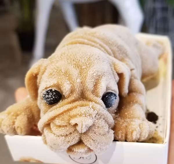 Phải mất 5 giờ đồng hồ để có thể có một chú cún như vậy nè.