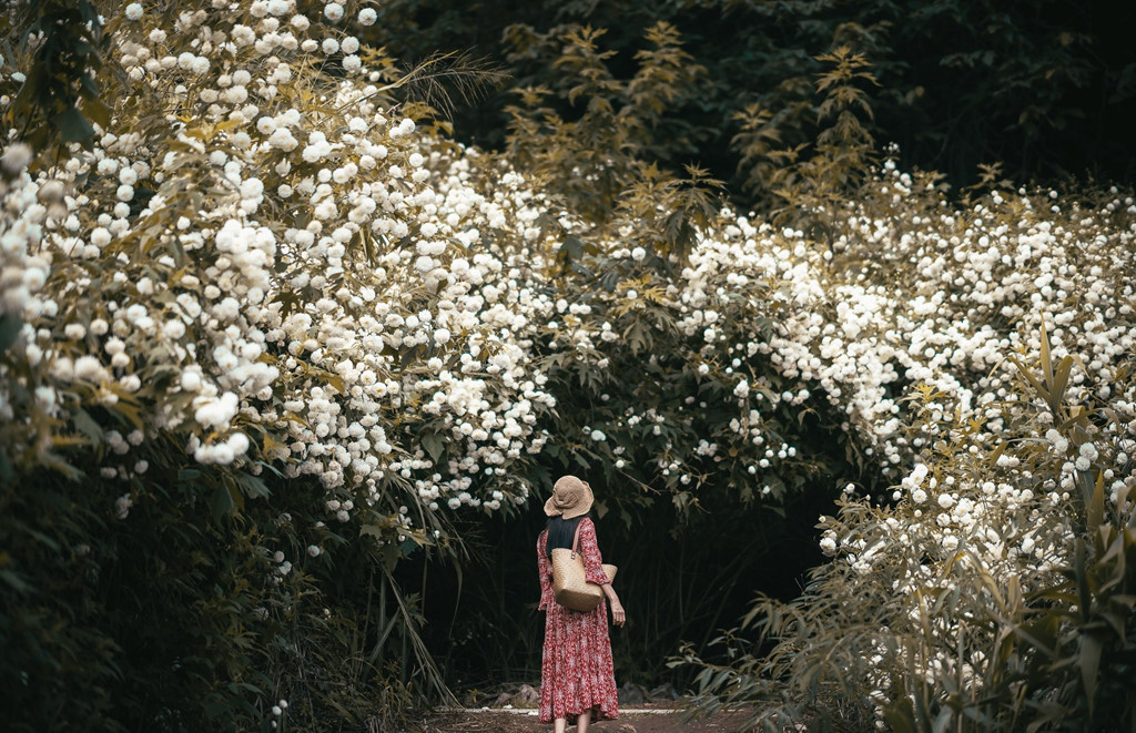 Ảnh: Somewhere Someone.