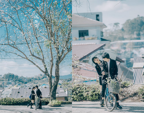 Ảnh: Đặng Nhật Quang và Cẩm Nhung.