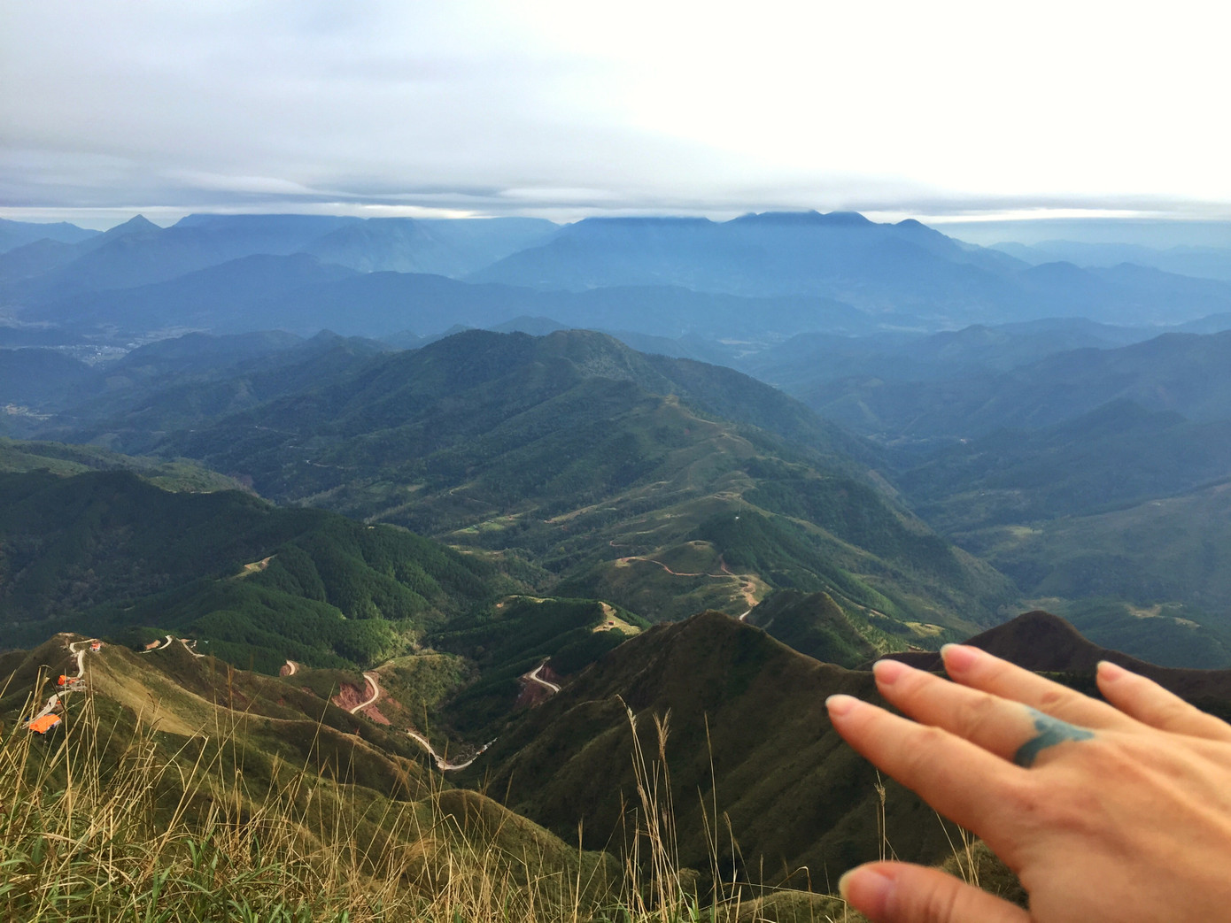 Sống lưng khủng long đẹp tuyệt!