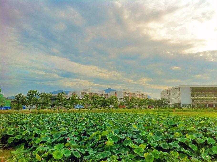 Thật khó để “né thính” của Đại học FPT khi đã một lần đến thăm ngôi trường này.