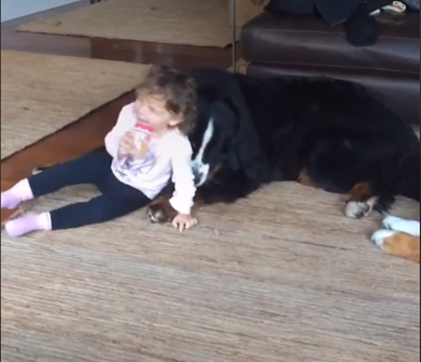 Có máu buồn rồi, tôi cho bé cười thoải mái nhé.