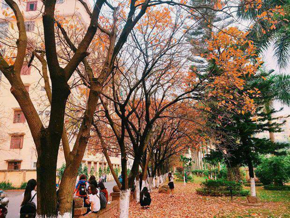 Khung cảnh đẹp nao lòng khiến các bạn trẻ thích chú chụp hình, thậm chí có thể ngồi trò chuyện dưới bóng cây suốt vài giờ đồng hồ. (Ảnh: Nguyễn Phúc)