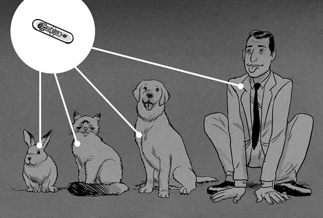 Khi tương lai cấp ghép chip vào con người trở nên phổ biến, liệu chúng ta có khác với vật nuôi trong nhà? Ảnh: Koren Shadmi.