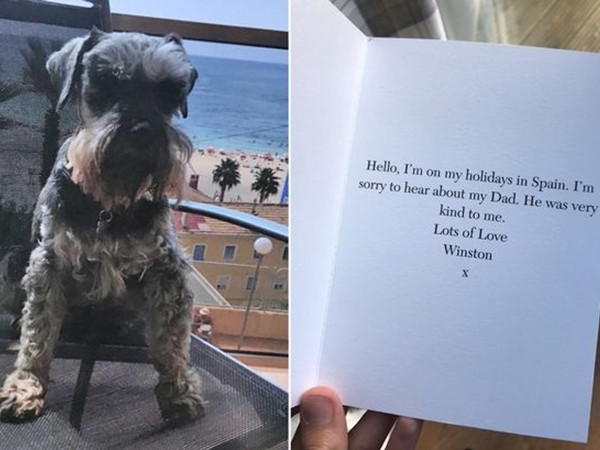 Tấm thiệp ghi người gửi là chú chó Winston.