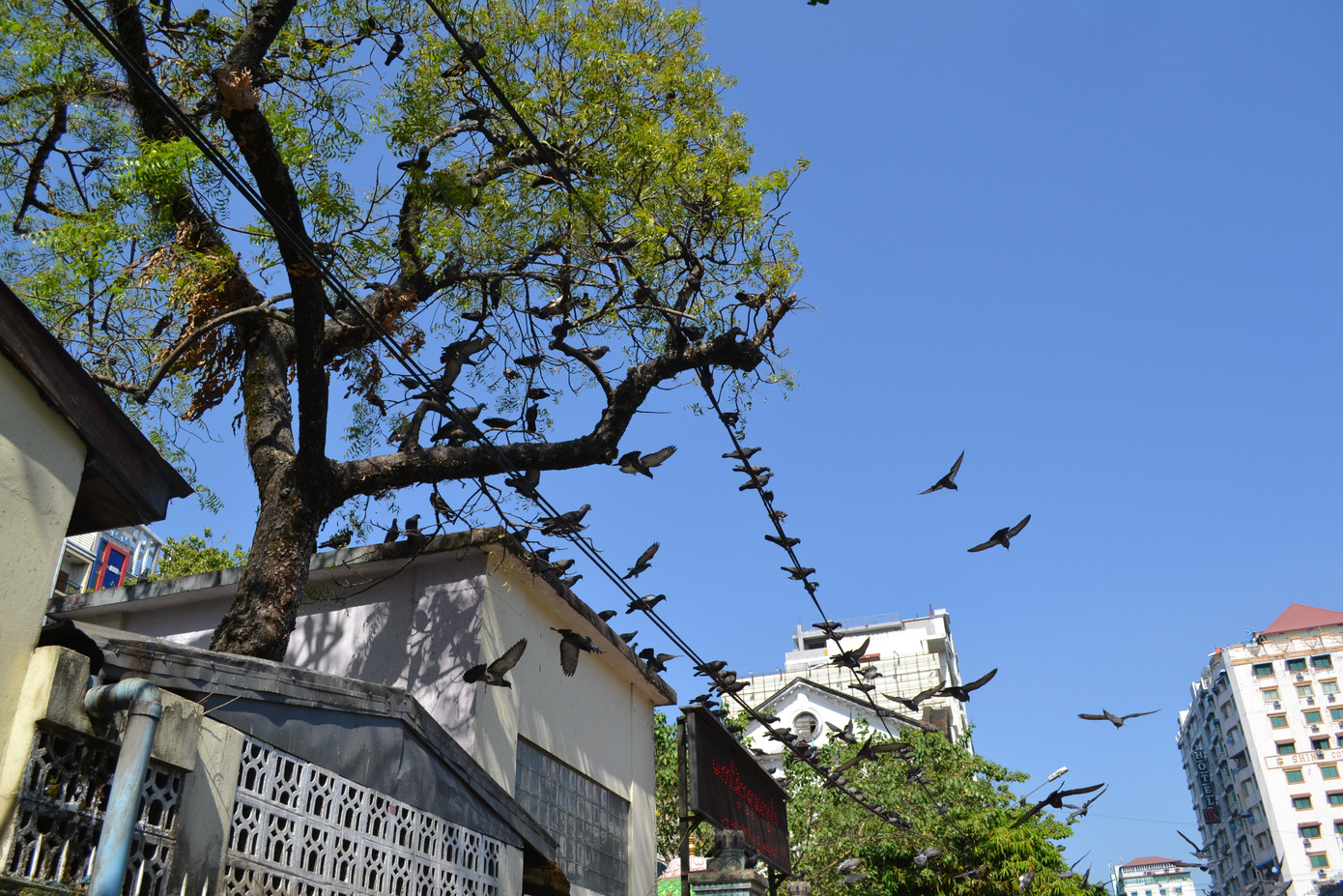 Mùa mưa chỉ kéo dài 3 tháng