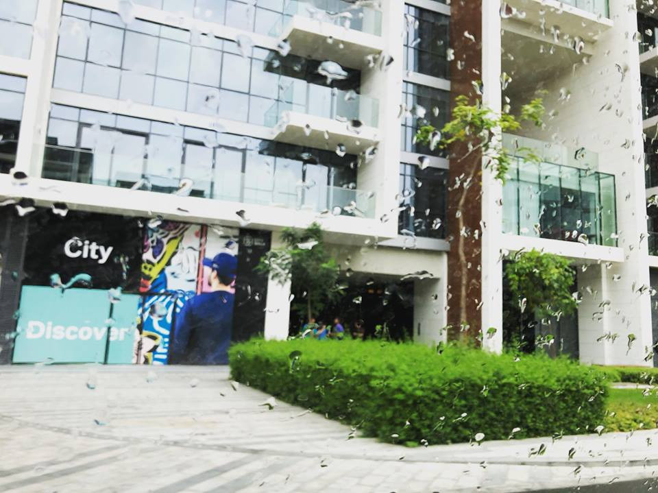 Cơn mưa chớp nhoáng