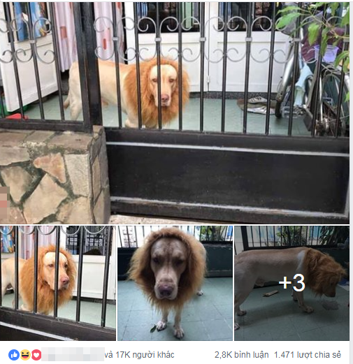 Bài viết thu hút sự quan tâm từ cư dân mạng.