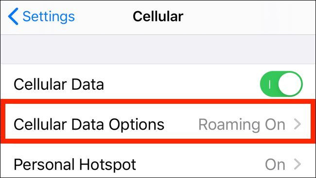 Tiếp đến, bạn chọn Cellular Data Options (Tùy chọn dữ liệu di động).