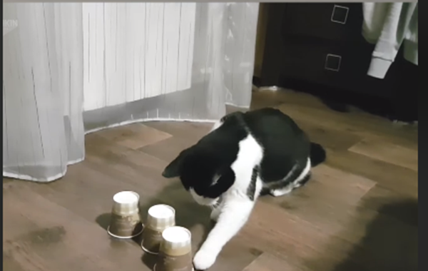 Tôi tìm được rồi nhé....