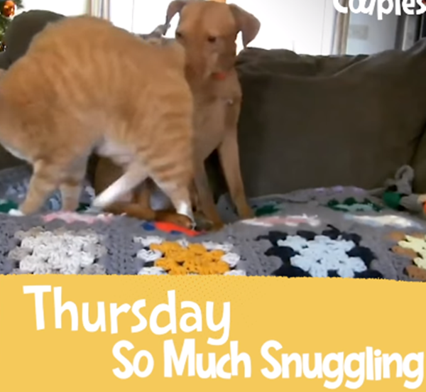 Cho ta gần nhau thêm chút nữa.