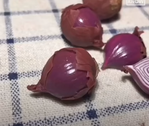 Hành tây chỉ để ngắm chú không thể cắt nhỏ phi lên cùng dầu được, nó không có mùi thơm đâu.