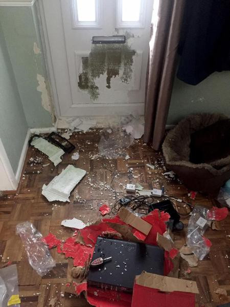 ...nhưng hình ảnh khi cô chủ về nhà lại hoàn toàn tương phản.