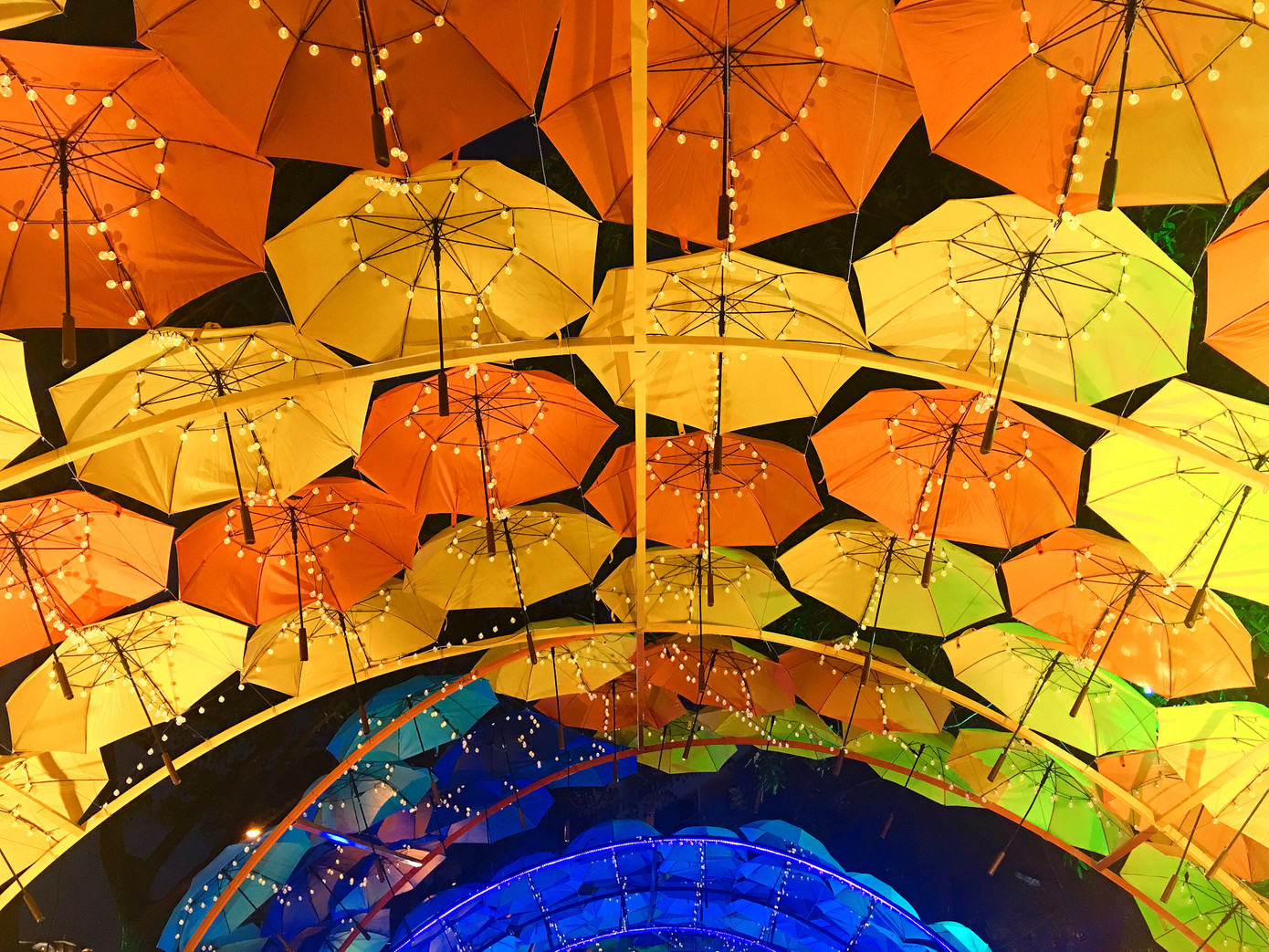 Nguyên một đoạn đường rợp bóng ô