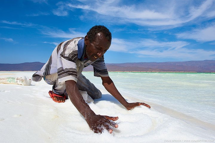 Mặc dù điều kiện khắc nghiệt, người Afar và Issa vẫn sống bằng việc buôn bán muối qua nhiều thế kỷ. Người dân tạo thành nhóm đào muối từ hồ rồi vận chuyển theo những đoàn lạc đà đi con đường cổ xưa tới Ethiopia để đổi lấy than, cà phê và các nhu yếu phẩm khác. Ảnh Lukas Spieker