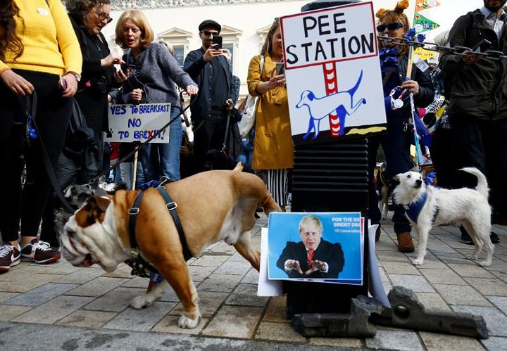 Wooferendum là một cách ghép giữa tiếng sủa “woof woof” và chữ "referendum", ám chỉ cuộc trưng cầu ý dân về Brexit. Những người tổ chức giải thích rằng, động vật ở Anh cũng có thể chịu ảnh hưởng khi nước này rời EU.