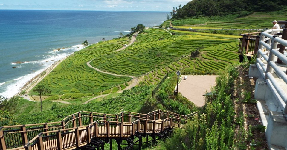 Ảnh: Japan Travel.