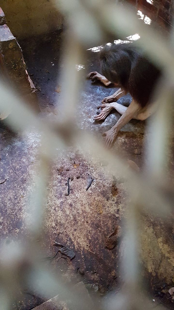 "Tù nhân căn buồng số 52" tại "Trại tập trung Củ Chi".