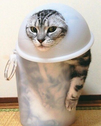 Trang phục phi hành gia cực ấn tượng.