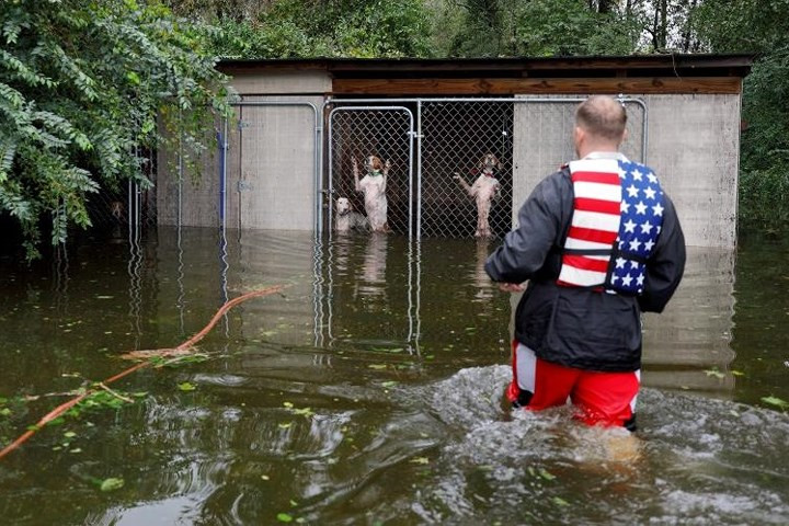 “A, có người đến cứu bọn mình rồi. Sống rồi các cậu ạ”.