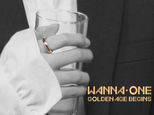 Wanna One xác nhận ngày trở lại, khiến fan trở thành thám tử chơi trò soi tay đoán người ảnh 12