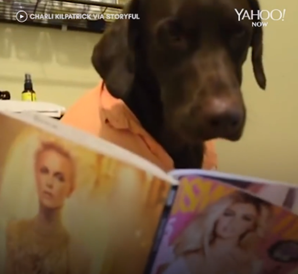 Đọc tạp chí một lúc đã nào.