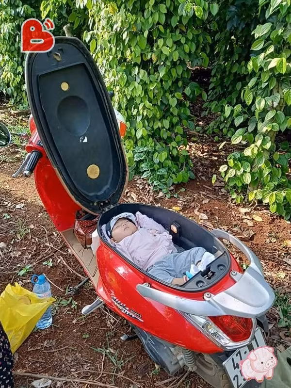 Bức ảnh được cho là người mẹ đặt con nhỏ nằm trong cốp xe để tranh thủ làm nương rẫy gây tranh cãi.