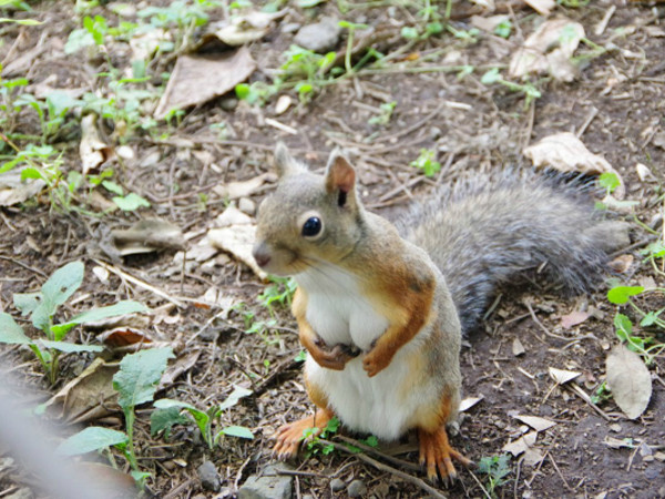 Chú sóc gây chú ý với khoảnh khắc dễ thương.