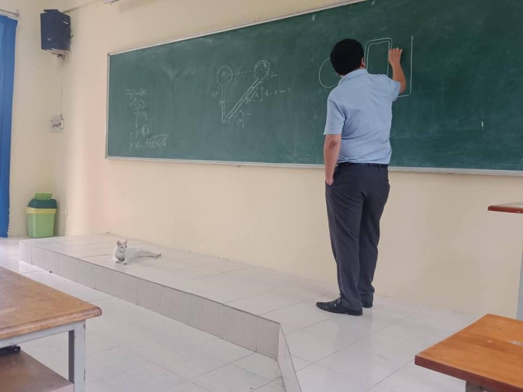 Chú mèo này ban đầu có vẻ thiếu tập trung.