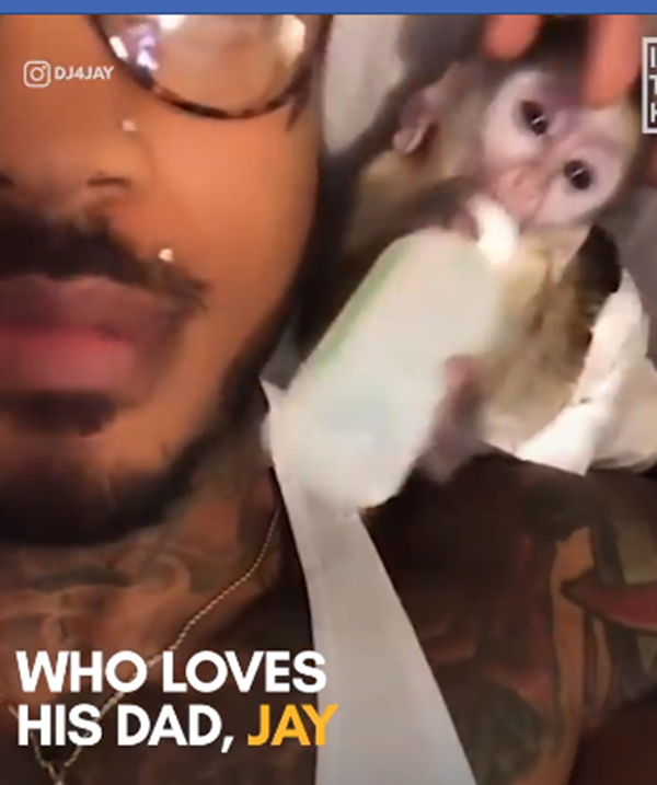 Bú bình nhưng phải ngồi trên bờ vai của papa.