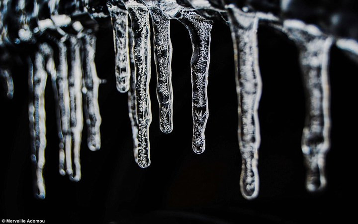 Nhiếp ảnh gia Merveille Adomou và bức ảnh chụp băng tan thể hiện hy vọng về một sức sống mới sau mùa Đông lạnh giá.