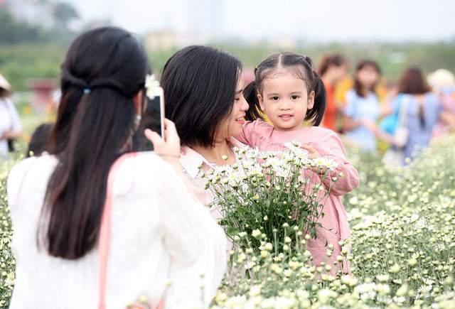 Riêng trẻ em, chủ những vườn cúc miễn phí vé vào.