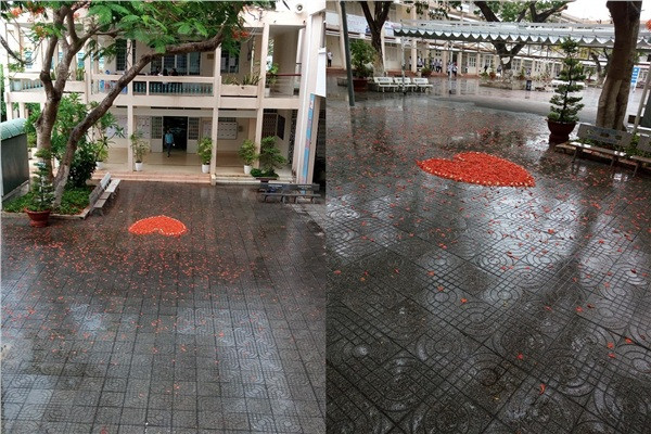 Nhìn ảnh này chắc 'người ấy' không nỡ để "người này" nhặt cánh phượng buồn chờ người đâu nhỉ?