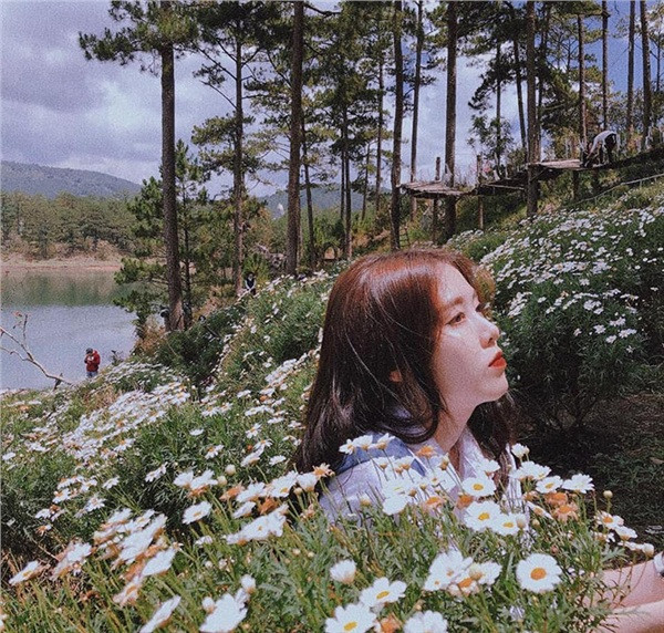 (Ảnh: Dala Garden Hotel Đà Lạt)