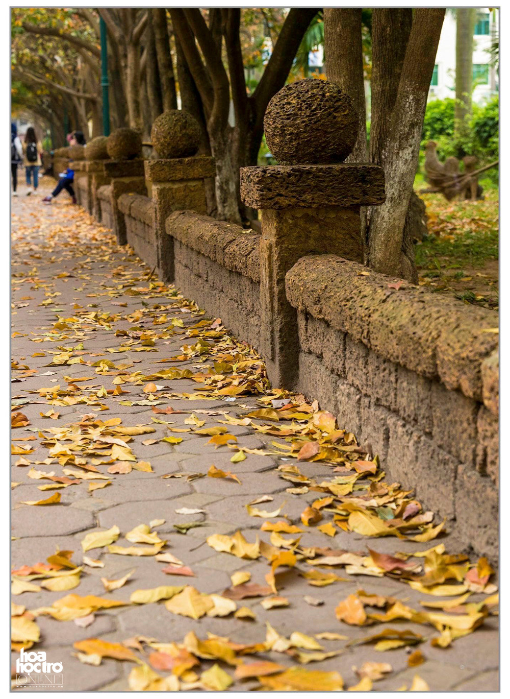 Những chiếc lá rụng xuống lề đường phủ lên một màu sắc mới cho con đường, chỉ cần bước chân nhẹ nhàng cũng có thể cảm nhận được tiếng lá xào xạc dưới chân. (Ảnh: Hải Yến)