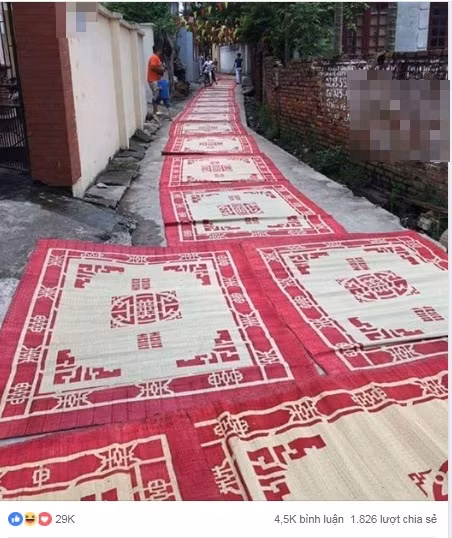 Bài viết thu hút sự quan tâm từ cư dân mạng.