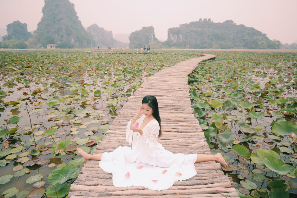 Những ngày đông lạnh giá vẫn có sen nở tại Hang Múa.