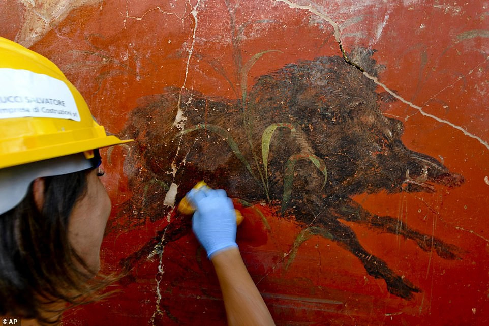 Hình vẽ lợn rừng trên nền tường đỏ. Bức bích họa này đã có niên đại 2.000 năm.