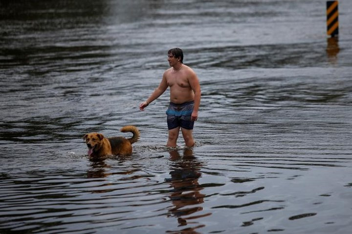 Chó và chủ giữa mênh mông biển nước ở New Bern, Bắc Carolina. “Đi về đâu đây, ông chủ ơi?”/.