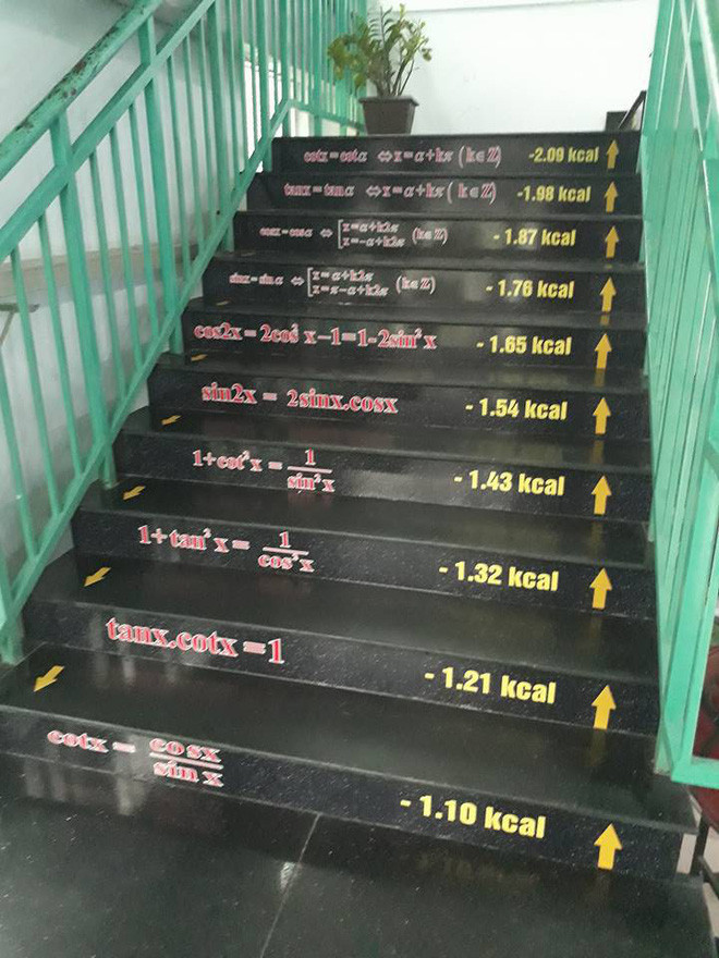 Bậc thang toán học tại trường THPT Lê Quý Đôn (Đồng Nai). Bậc thang toán học tại trường THPT Lê Quý Đôn (Đồng Nai).