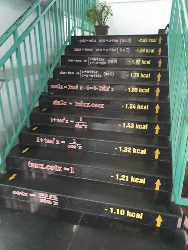 Bậc thang toán học tại trường THPT Lê Quý Đôn (Đồng Nai).