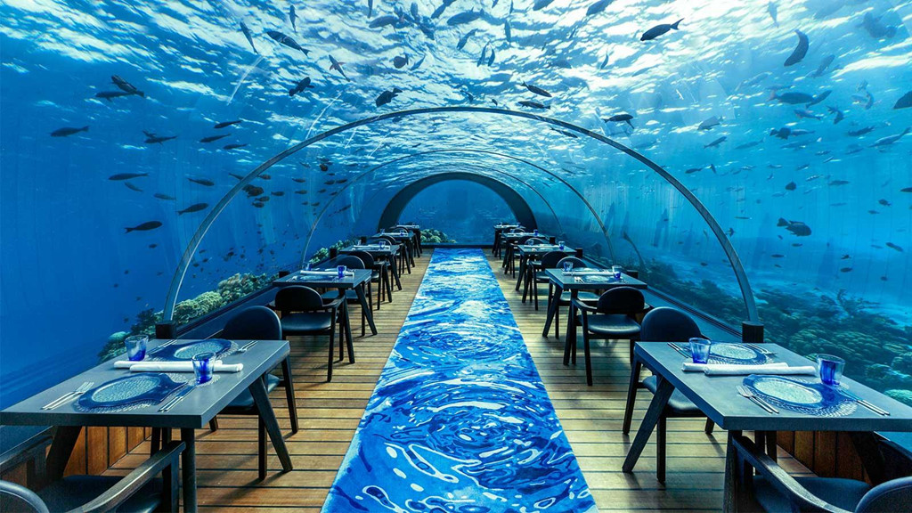 Ảnh: Hurawalhi Maldives. Ảnh: Hurawalhi Maldives.