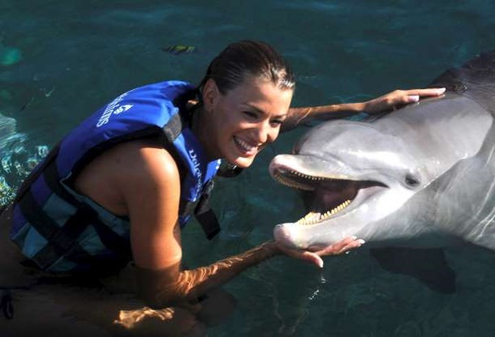 Chú cá heo dễ thương với nụ cười làm tan chảy mọi trái tim.