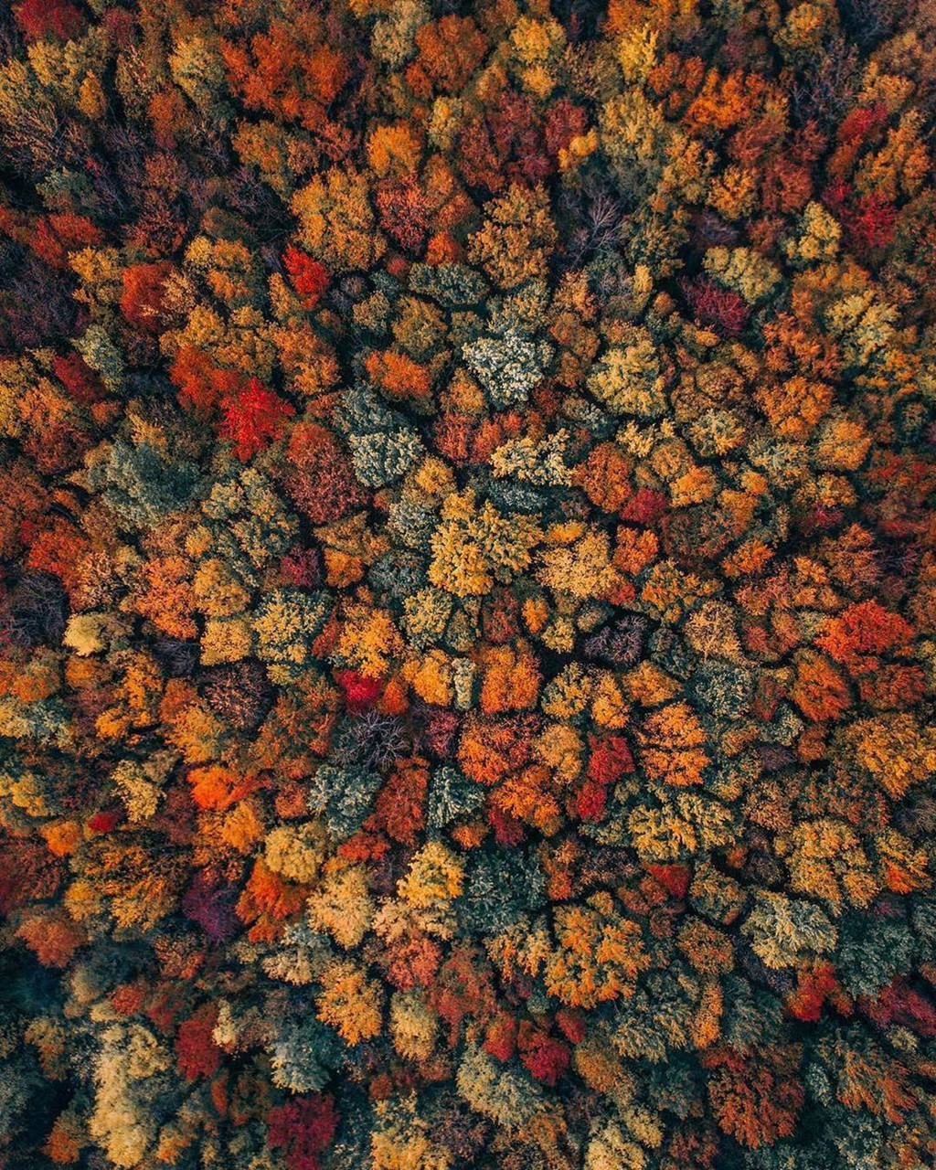 Ảnh: Jayeffex, earthfocus.