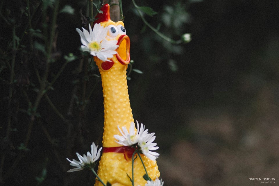 &quot;Ngạc nhiên chưa&quot;.