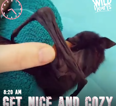 Bắt đầu buổi sáng từ 8h20'