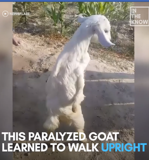 Sinh ra không may mắn...