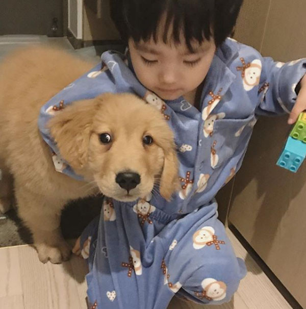 Tình bạn thơ ấu tuyệt vời của chú chó Molly và cậu bé Hàn Quốc ảnh 11 Tình bạn thơ ấu tuyệt vời của chú chó Molly và cậu bé Hàn Quốc ảnh 11