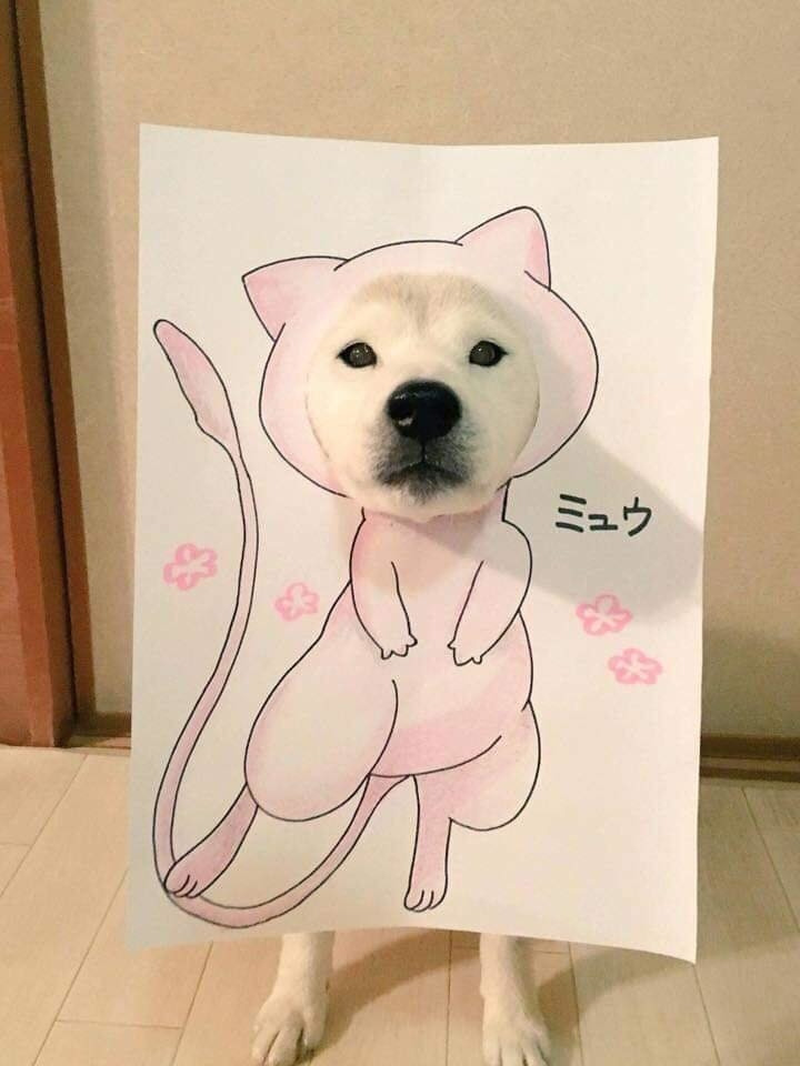 Cưng muốn xỉu à.