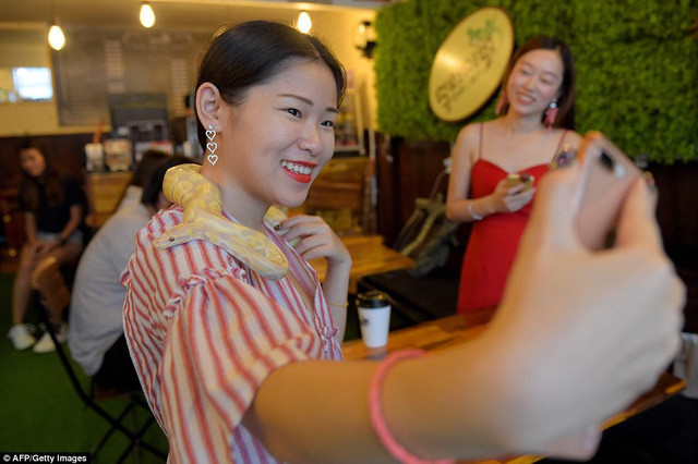 Các cô gái thản nhiên khi chụp hình cùng rắn.